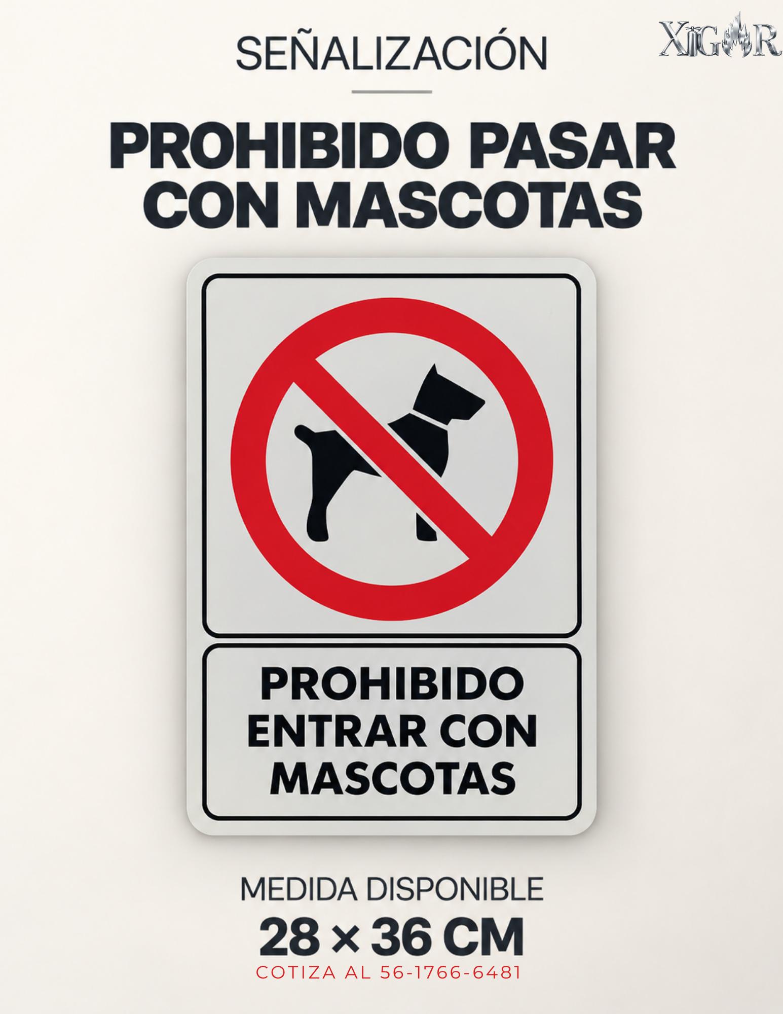 Señalización y emergencia 62 20260918 165336 0061